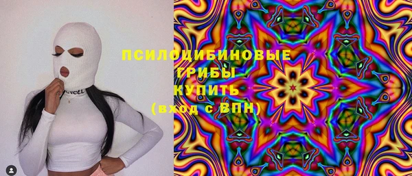 прущие грибы Армянск