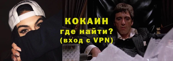 прущие грибы Армянск