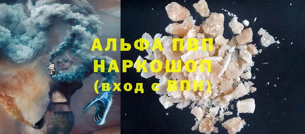 прущие грибы Армянск