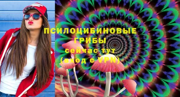 мет Аркадак