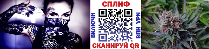 Канабис Amnesia  где купить наркоту  Артёмовск 